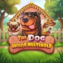 The Dog House Multihold game at Syndicate Casino for Australia players The Dog House Multihold game at Syndicate Casino for Australia players